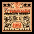 Ernie Ball 2312 Light Gauge 5-String Banjo Strings