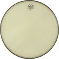 Remo Renaissance Ambassador Snare Side