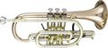 Getzen 3850 Custom Series Bb Cornet 3850S Silver