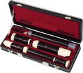 Rhythm Band 500 Series Soprano & Alto Recorder Pack