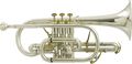Besson 2028 Prestige Series Cornet Lacquer