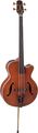 Takamine TB10 Acoustic-Electric Upright Bass Gloss Red Stain