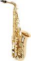 Allora Paris Series Alto Saxophone AAAS-801 - Lacquer