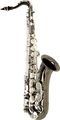 Allora Paris Series Tenor Saxophone AATS-801 - Lacquer