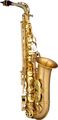 P. Mauriat Le Bravo Intermediate Alto Saxophone Matte finish