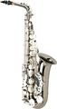 Allora Paris Series Alto Saxophone AAAS-801 - Lacquer