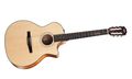 Taylor 2012 314Ce-N-Ltd Spring Limited Edition Koa Grand Auditorium Acoustic-Electric Nylon Guitar