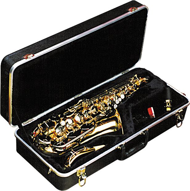 Skb Skb-340 Rectangular Alto Saxophone Case