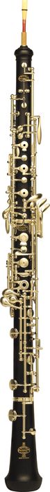 Buffet Crampon&nbsp;3613 Professional Oboe&nbsp;&nbsp;