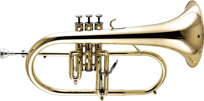 Getzen 3895 Custom Series Bb Flugelhorn Lacquer Gold Bell