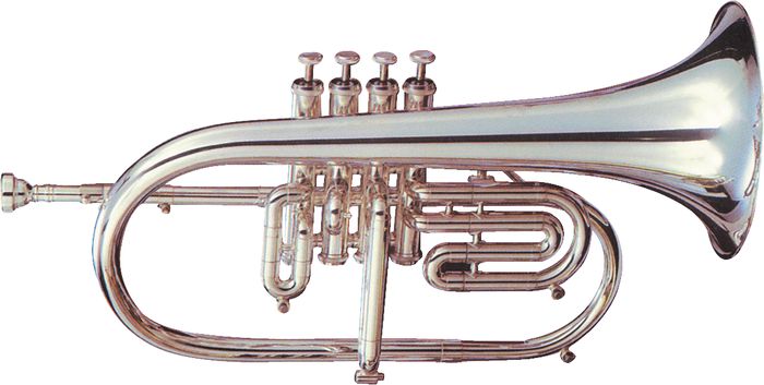 Getzen 895S Eterna Series Bb Flugelhorn 896S Silver 4-Valve