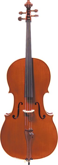  Ren Wei Shi Model 7000 Cello 