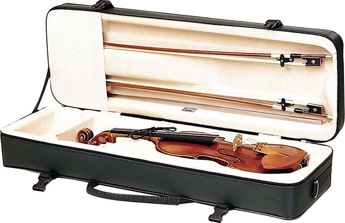 Bam&nbsp;Classic Violin Case&nbsp;&nbsp;