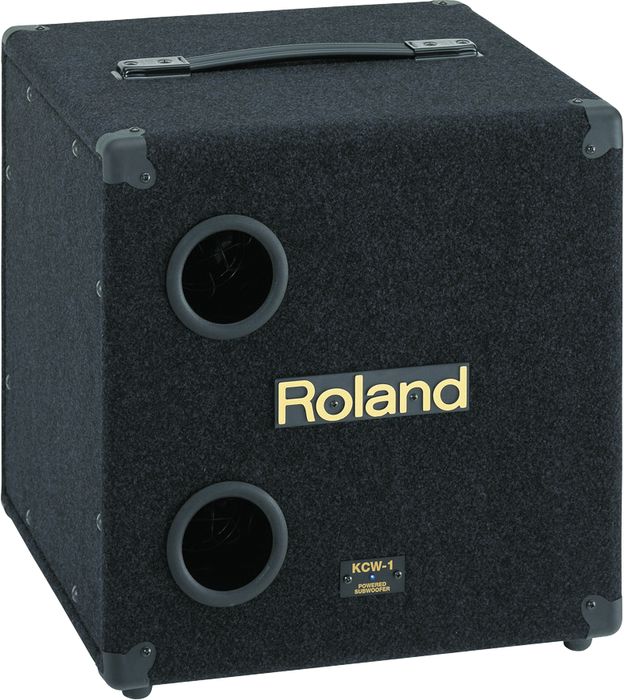 Roland&nbsp;KCW-1 200W Keyboard Subwoofer&nbsp;&nbsp;