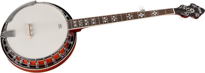 Recording King&nbsp;Bluegrass Series RK-R20 Songster Banjo&nbsp;&nbsp;