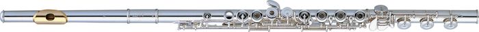 Pearl Flutes&nbsp;665 Series Quantz Coda Flute&nbsp;Offset G, Split-E&nbsp;