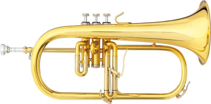 B&S 3146/2G-L Challenger Ii Bb Flugelhorn Gold Lacquer