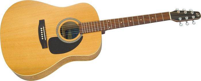 Seagull Slim Dreadnought Qi Eq Natural