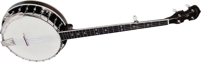 Gold Tone&nbsp;BG-250F Resonator Banjo&nbsp;&nbsp;