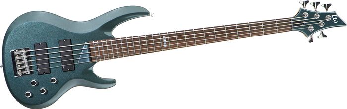 ESP&nbsp;LTD B-105 5-String Bass Guitar&nbsp;&nbsp;