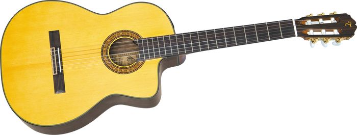 Takamine Ec-132C Classical Guitar