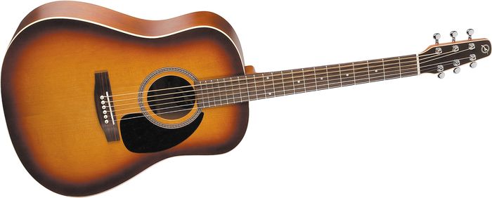 Seagull Coastline S6 Gt Dreadnought Acoustic Guitar Sunburst