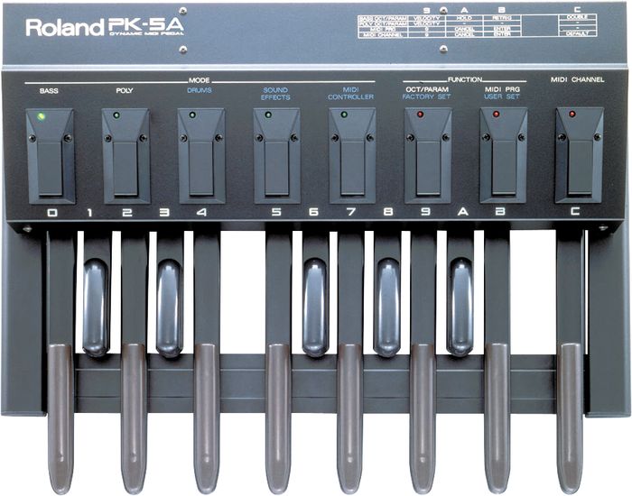 Roland&nbsp;PK-5A Dynamic Foot Pedal and MIDI Controller&nbsp;&nbsp;