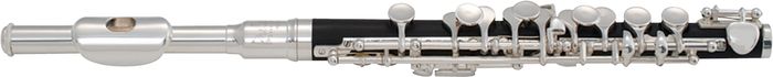 Prelude by Conn-Selmer&nbsp;Student Model Piccolo&nbsp;&nbsp;