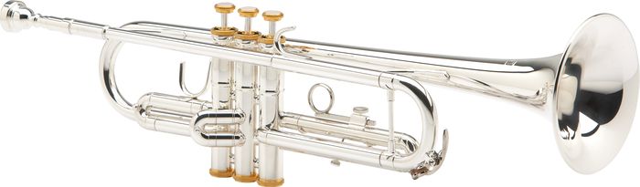Blessing Btr-1460 Series Bb Trumpet Btr-1460G Silver With Gold Trim