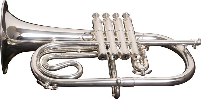 Antoine Courtois Paris Ac156r Professionel Series Bb Flugelhorn Silver