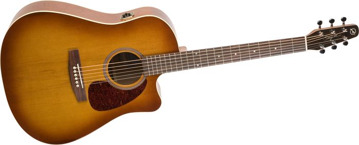 Seagull&nbsp;Entourage CW GT QI Acoustic-Electric Guitar&nbsp;&nbsp;