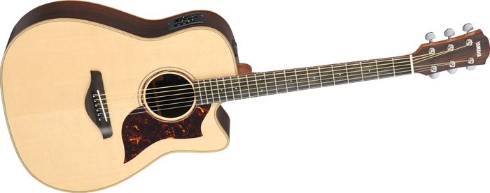 http://static.musiciansfriend.com/derivates/18/001/599/135/DV016_Jpg_Large_H75319.001_rosewood_back_and_sides_V.jpg