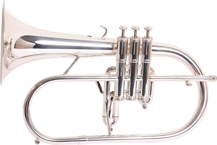 Getzen 3895 Custom Series Bb Flugelhorn Silver Gold Bell