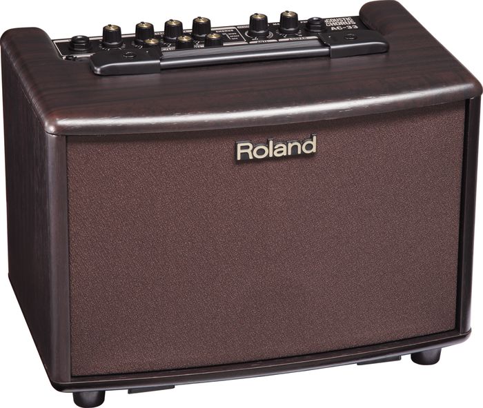 Roland Acoustic Amp