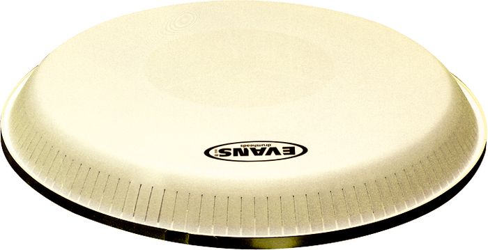 Evans&nbsp;Replacement Conga Head for LP Extended Comfort Curve&nbsp;&nbsp;