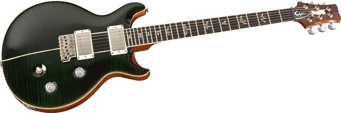 Prs Santana Signature Model 10 Top Electric Guitar Evergreen