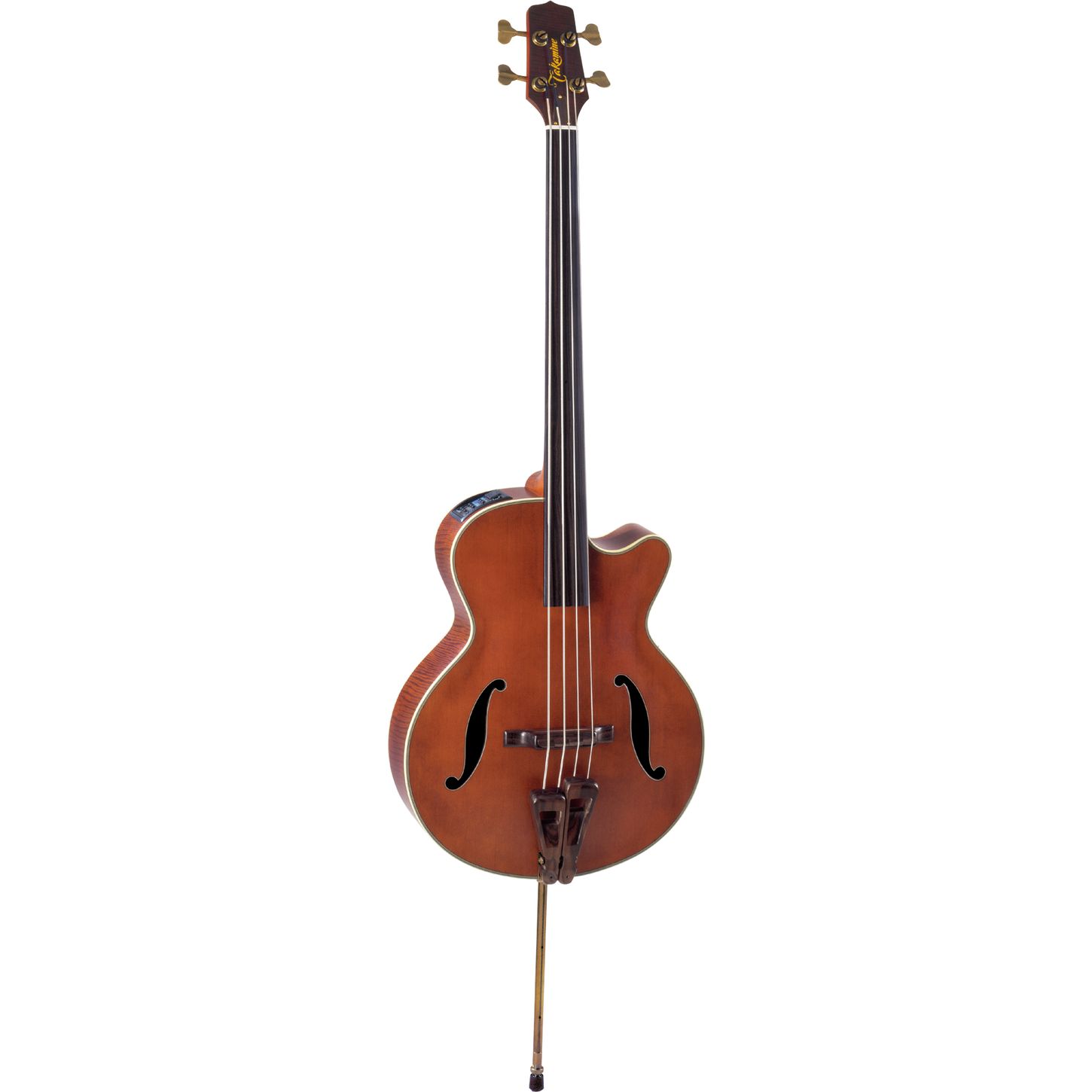 electric double bass