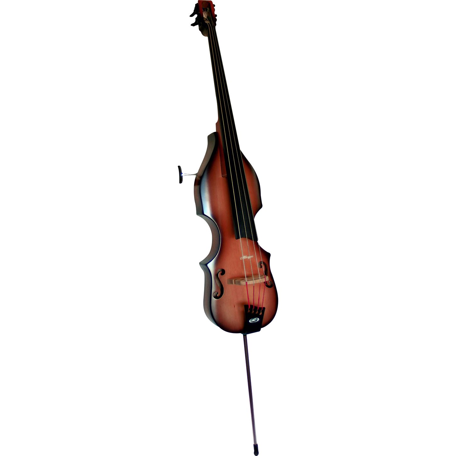 electric double bass