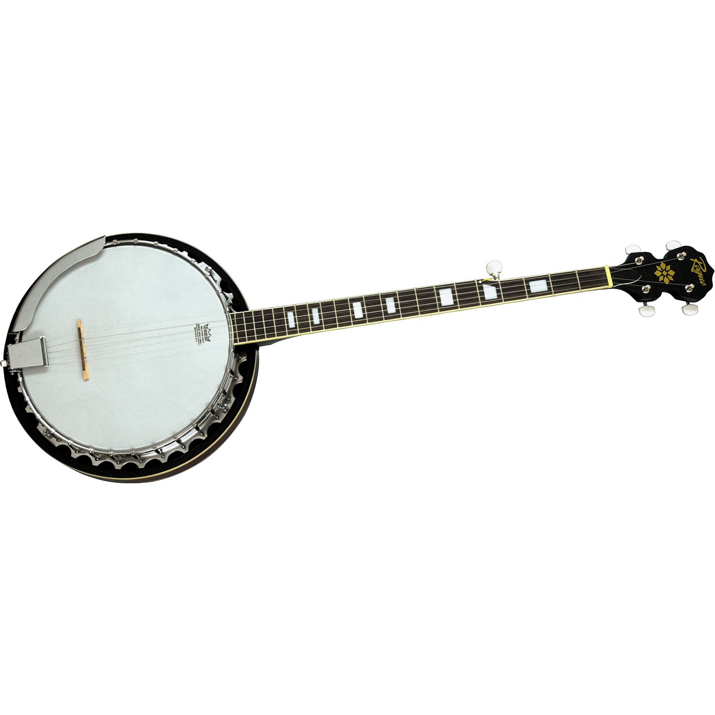 Rogue B30 Banjo Musician's Friend