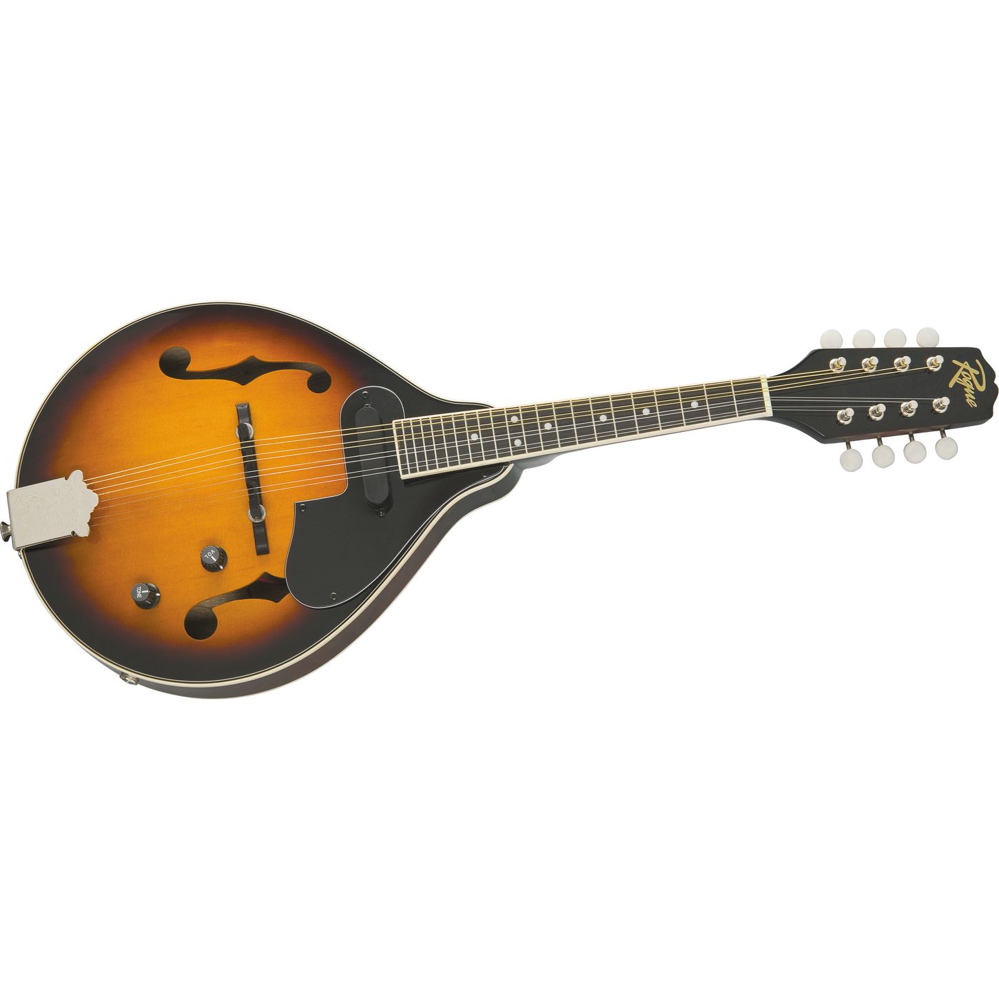 Rogue FM80E AcousticElectric Mandolin Musician's Friend