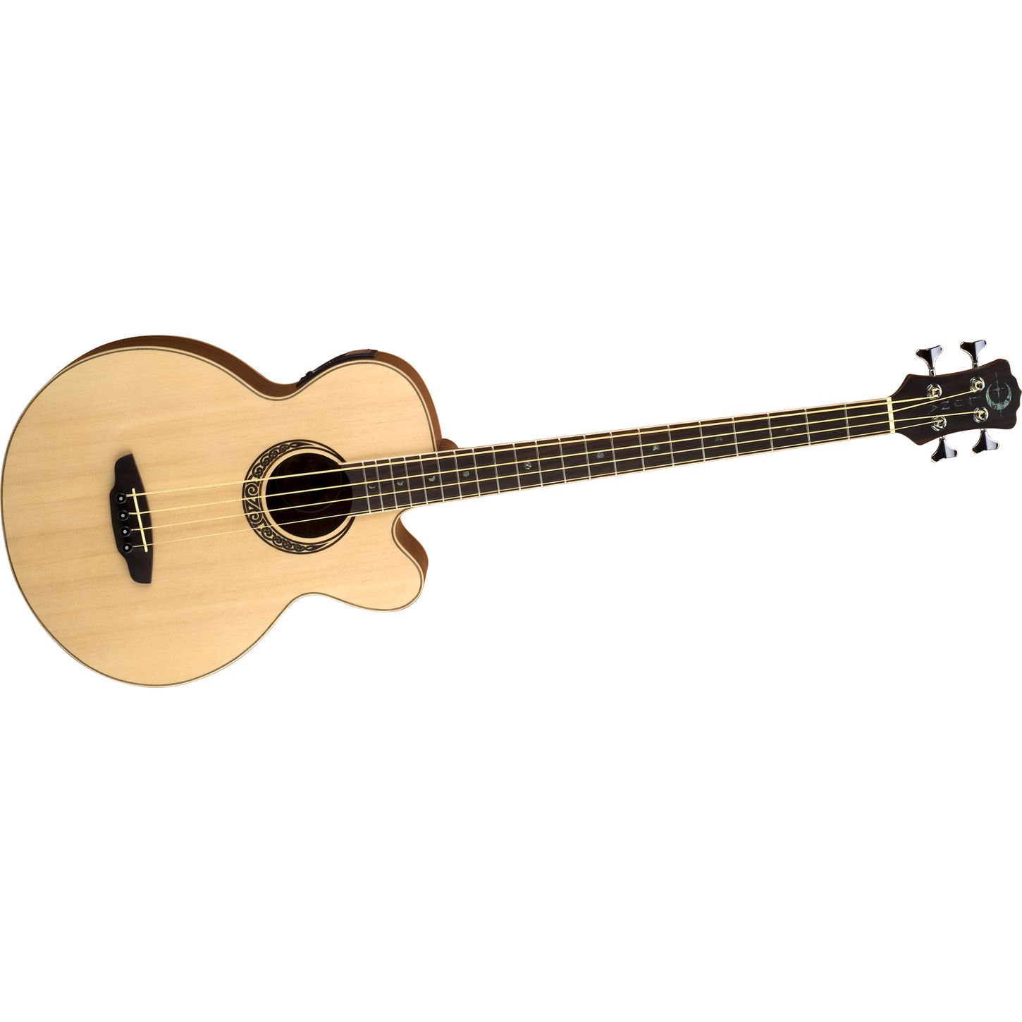 Acustic Bass Guitar