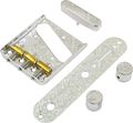 El DoradoEngraved Tele Parts Set