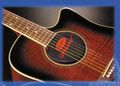 KyserLifeguard 6 or 12 String Acoustic Guitar Humidifier