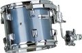 Taye DrumsRockPro 10" Rack Tom