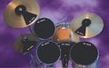 Vic FirthIndividual Drum Mutes