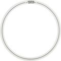 AquarianTwo 18" Studio Rings