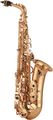 YanagisawaA-901 Artist Alto Saxophone
