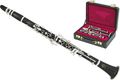 Buffet CramponR13 Professional A Clarinet with Nickel Keys