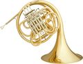 Hans Hoyer801 Geyer Series Double Horn