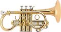 Antoine Courtois ParisAC107R Chenonceaux II Series Eb Cornet